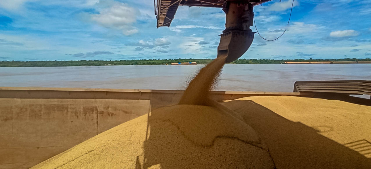 Vazio Sanitário Chega Ao Fim E Produtores De Soja Já Podem Iniciar Plantio No Cone Sul De 6859