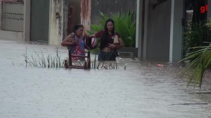 Moradores resgatam animais durante cheia em Cacoal, RO