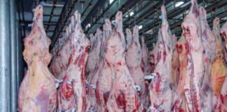 China suspende importação de carne bovina de mais uma unidade da JBS