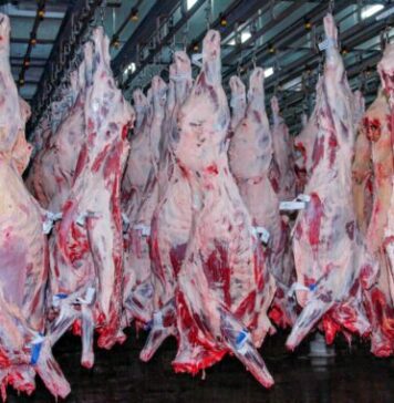 China suspende importação de carne bovina de mais uma unidade da JBS