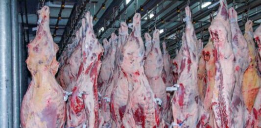 China suspende importação de carne bovina de mais uma unidade da JBS