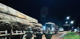 Operação IARA apreende três caminhões por transporte ilegal de madeira
