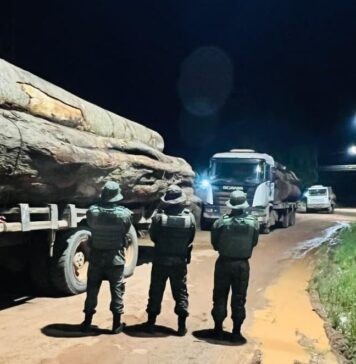 Operação IARA apreende três caminhões por transporte ilegal de madeira
