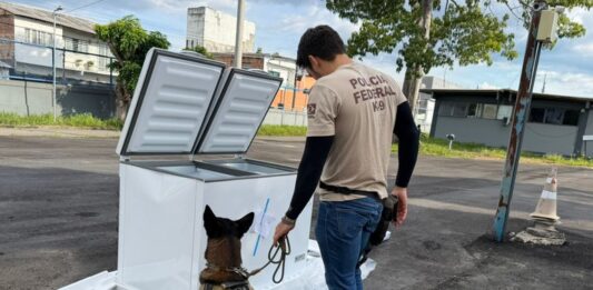 PF apreende 182 kg de drogas e armas ocultas em freezers