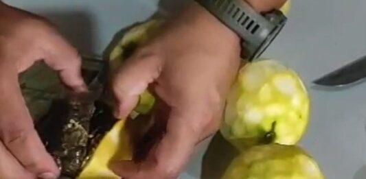 Mulheres são flagradas ao tentar entrar em presídio do AC com drogas escondi