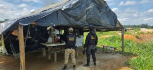 PF e FUNAI realizam ação de combate ao garimpo ilegal na Terra Indígena Kayapó