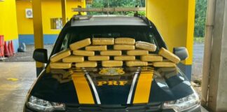 PRF em Rondônia apreende aproximadamente 20 kg de maconha em Pimenta Bueno