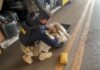 PRF em Rondônia apreende cerca de 20 kg de skunk em ônibus na BR-364