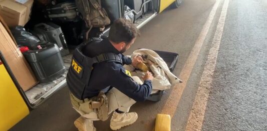 PRF em Rondônia apreende cerca de 20 kg de skunk em ônibus na BR-364