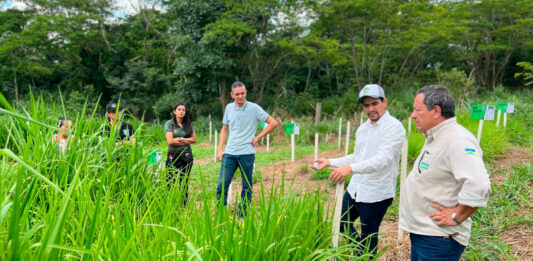 Programa estadual fortalece pecuária leiteira e aumenta produtividade na agricultura familiar em Rondônia