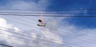 Energisa alerta: objetos estranhos na rede elétrica causaram mais de 200 ocorrências em Rondônia em 2025