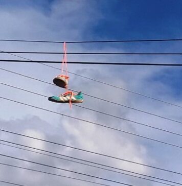 Energisa alerta: objetos estranhos na rede elétrica causaram mais de 200 ocorrências em Rondônia em 2025