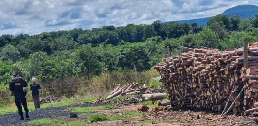 PF atua contra trabalho análogo à escravidão e encontra irregularidades em carvoaria