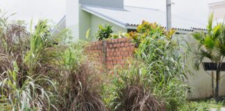 Prefeitura de Vilhena intensifica fiscalização de lotes sujos e alerta para multas que podem ultrapassar R$ 2 mil