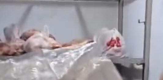 Polícia prende 11 suspeitos de saquear carga de carne após acidente na MT-235, em Campo Novo do Parecis