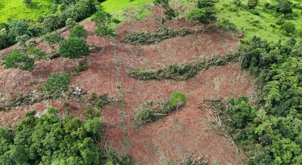 Polícia Militar Ambiental flagra desmatamento ilegal e apreende escavadeira