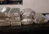 Polícia Militar apreende mais de 24 kg de droga e prende suspeito por tráfico em Primavera de Rondônia
