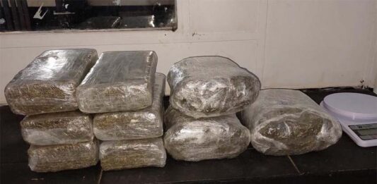 Polícia Militar apreende mais de 24 kg de droga e prende suspeito por tráfico em Primavera de Rondônia