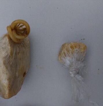 PMRO captura foragido e apreende drogas que seriam levadas a Porto Velho