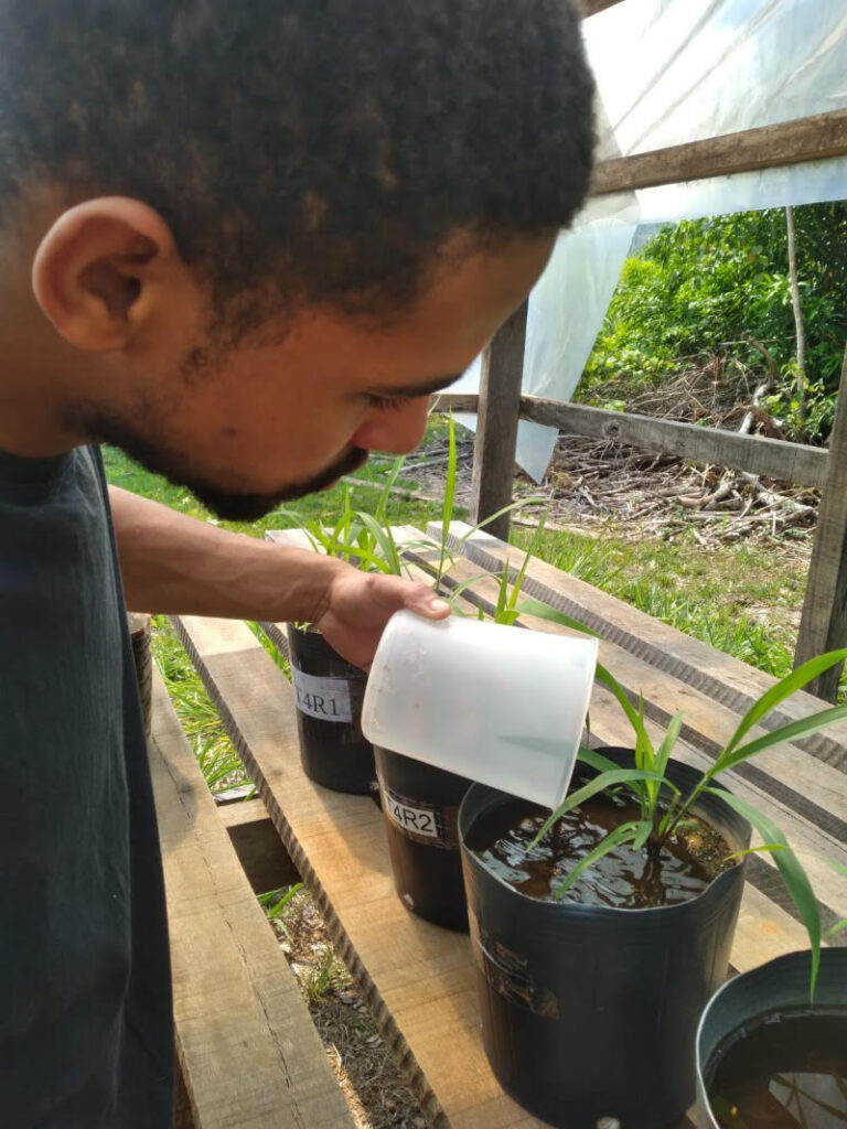 UNIR pesquisa uso de pó de rocha como fertilizante