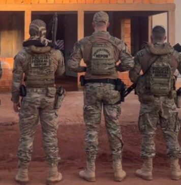 PF combate tráfico interestadual de drogas em RO e no PA