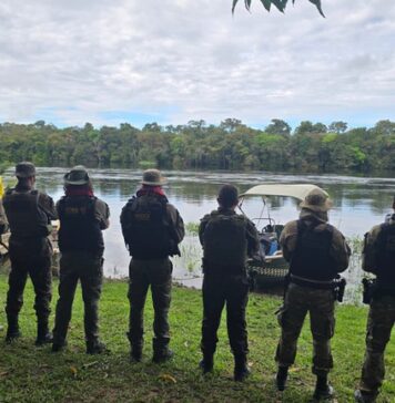 PF, ICMBio e BPA reprimem ilícitos ambientais em Rondônia