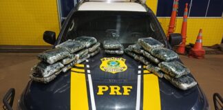 PRF em Rondônia apreende mais de 13 kg de substância análoga à skunk na BR-364