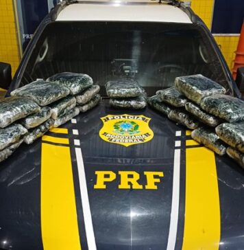 PRF em Rondônia apreende mais de 13 kg de substância análoga à skunk na BR-364