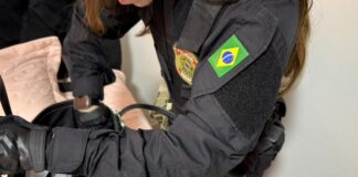 PF combate esquema de fraudes bancárias e empréstimos irregulares