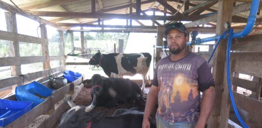 Concurso Leiteiro da Expocol movimenta expectativa de produtores em Colorado do Oeste