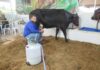 Expocol 2026 reforça parceria entre ASCCOL e Prefeitura para impulsionar agronegócio e pequenos negócios em Colorado do Oeste