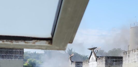 Atuação conjunta da Polícia Militar de Rondônia resulta em prisão por incêndio criminoso, violência doméstica e maus-tratos a animais