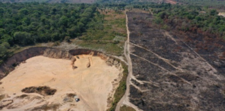 MPF processa empresa e gestores por garimpo ilegal e desmatamento de grande magnitude em Vilhena (RO)