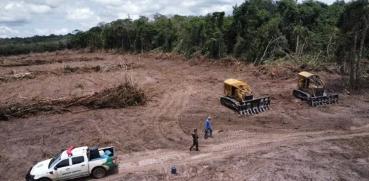 AGU mantém multa ambiental milionária a desmatador de Rondônia