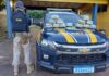 PRF em Rondônia apreende 15 kg de skunk no município de Porto Velho/RO