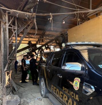 Polícia Federal incinera quase uma tonelada de drogas em Ji-Paraná/RO