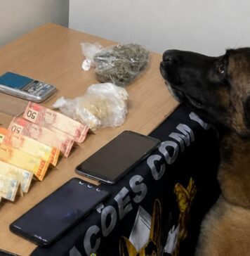 Força Tática e canil da PM desmantela ponto de venda de drogas em Colorado do Oeste