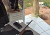 PC cumpre mandado de busca em investigação sobre roubo de caminhão, apreende arma de fogo e resgata animal silvestre em Vilhena