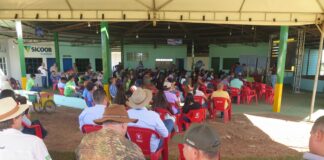 Especialista aponta retomada positiva para pecuária e leite durante palestra que reuniu grande público na 38ª Expocol