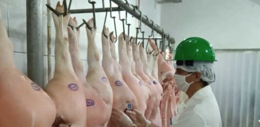Empresas privadas poderão se credenciar na Idaron para inspeção sanitária em frigoríficos de Rondônia