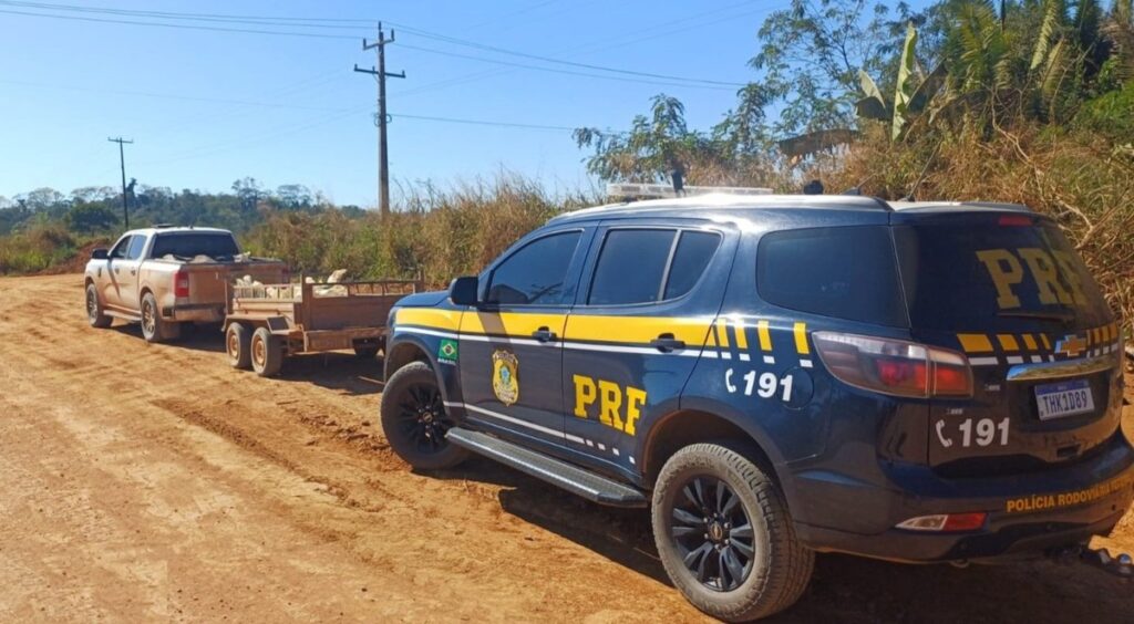 PRF em Rondônia apreende quase 2,5 toneladas de cassiterita em Ariquemes/RO