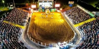 Confira a programação que fecha a edição deste ano na Expocol