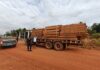 Operação Acesso Facilitado investiga exploração ilegal de madeira e minérios em Rondônia