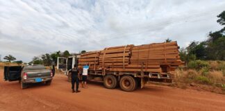 Operação Acesso Facilitado investiga exploração ilegal de madeira e minérios em Rondônia