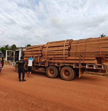 Operação Acesso Facilitado investiga exploração ilegal de madeira e minérios em Rondônia