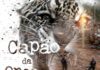 Operação Capão da Onça investiga venda irregular de lotes e crimes ambientais em Rondônia