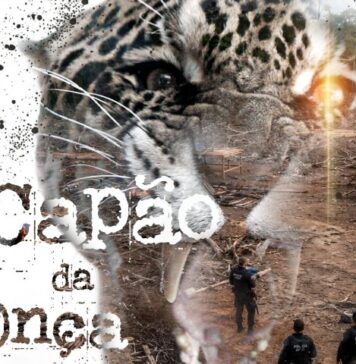 Operação Capão da Onça investiga venda irregular de lotes e crimes ambientais em Rondônia