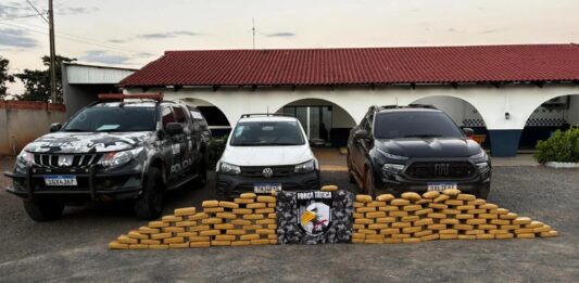 Carga de maconha que saiu de Rondônia é interceptada no Mato Grosso