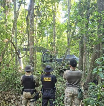 PF e Ibama deflagram operação contra o garimpo ilegal