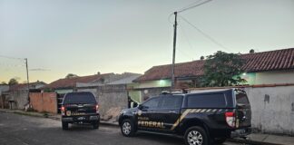 PF apura tráfico de drogas por via postal em Rondônia
